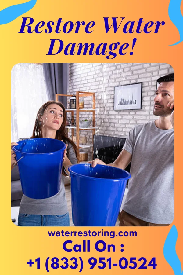 water restoration Local Flood Damage Crew Sumner