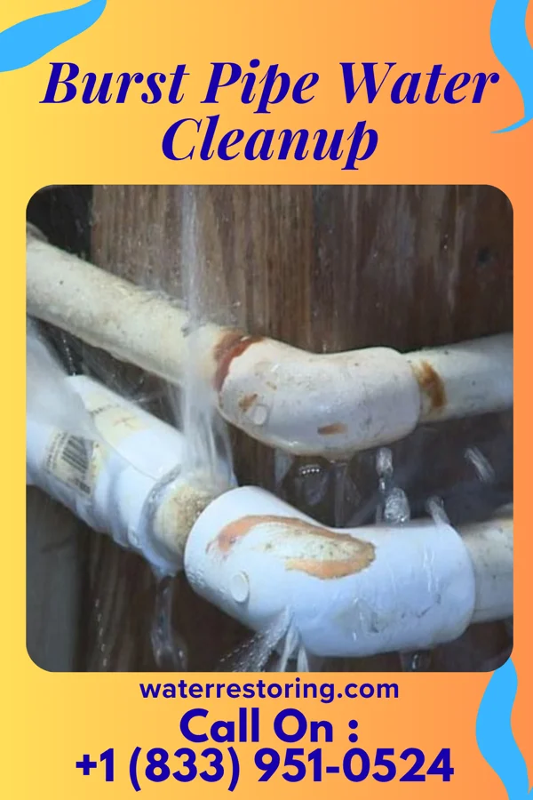 Burst Pipe Water Cleanup in Sumner, MS