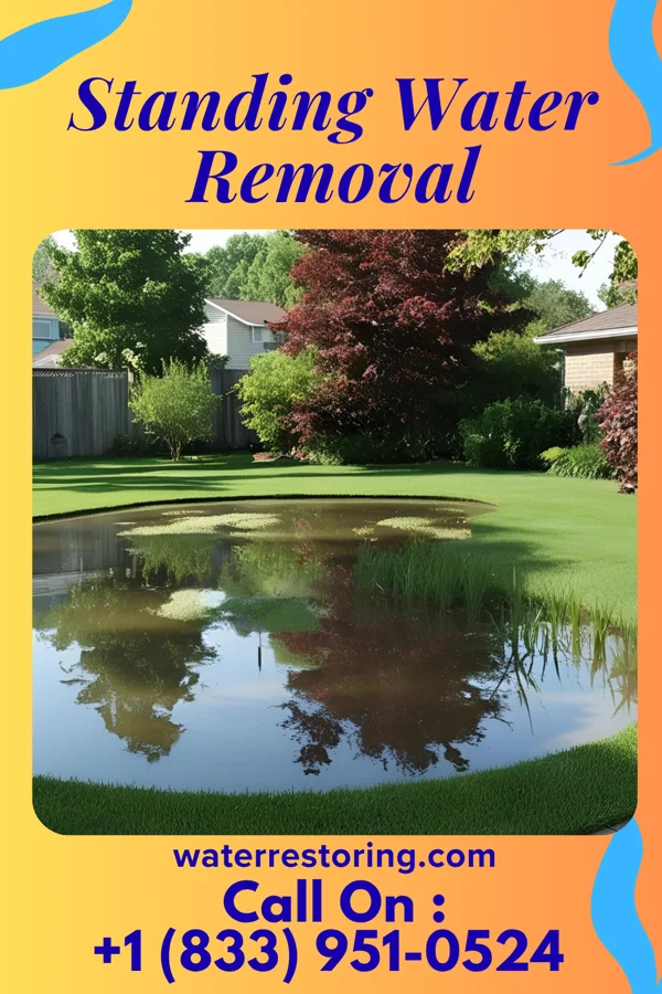 Standing Water Removal in Sumner, MS